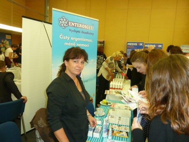 Brno - Hotel Holiday Inn 2017