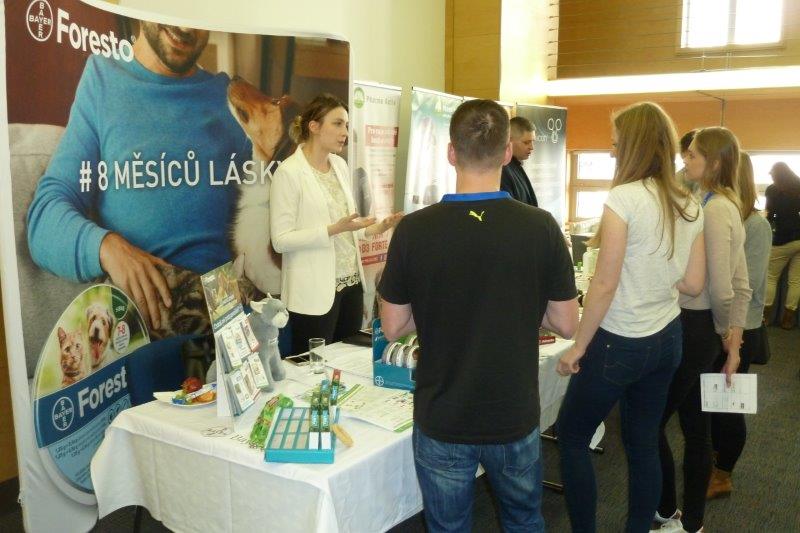 Brno - Hotel Holiday Inn 2019