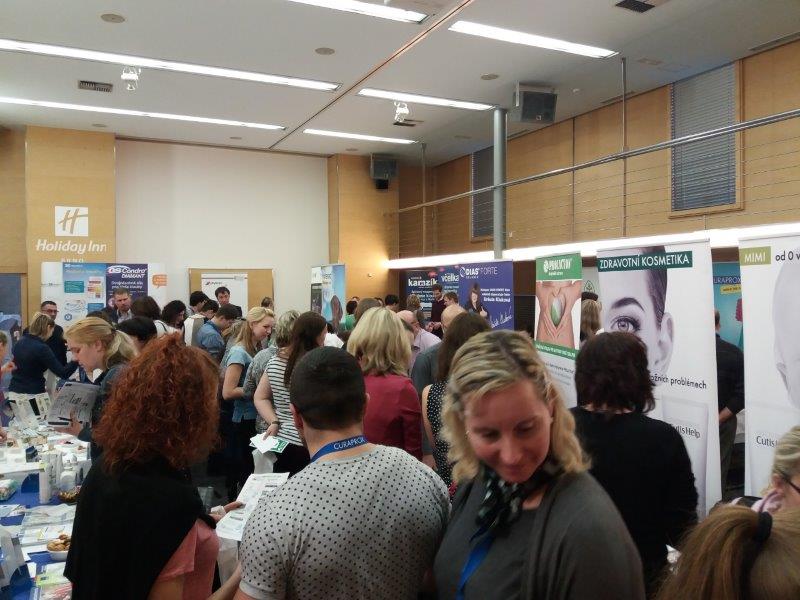 Brno - Hotel Holiday Inn 2017
