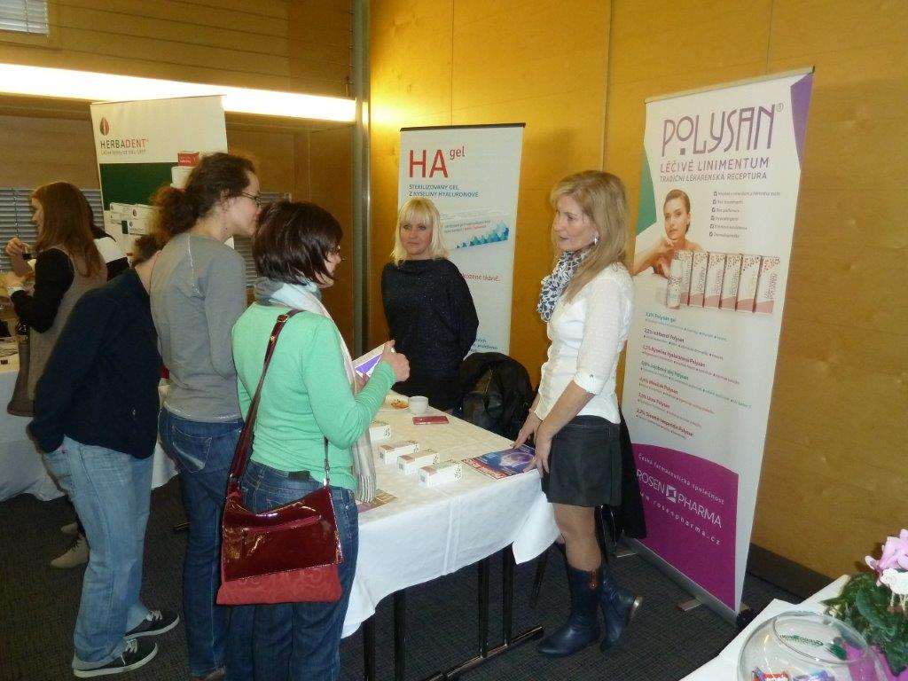 Brno - Hotel Holiday Inn 2016